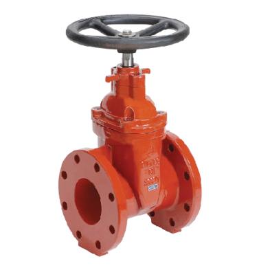 CI Flanged Gate Valve